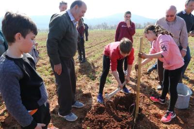 Imagen El Consell d’Eivissa presenta aquest dissabte els primers resultats de...