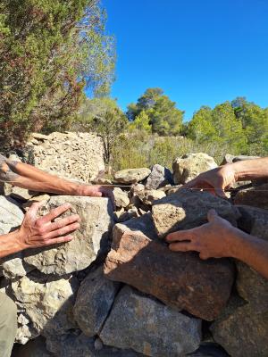 Imatge El Consell d’Eivissa organitza aquest cap de setmana dos tallers de...