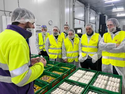 Imatge El Consell d’Eivissa organitza un viatge formatiu a Castilla la Mancha...